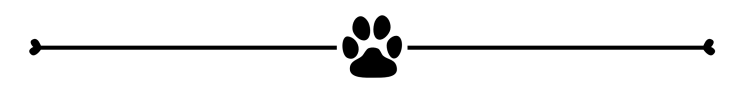 A black horizontal divider with a paw print in the centre, creating a simple yet stylish break in content.