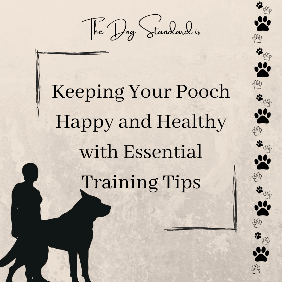 A digital graphic with a beige textured background featuring black text that reads, "Keeping Your Pooch Happy and Healthy with Essential Training Tips." A silhouette of a person standing beside a dog is in the lower left corner, while black paw prints line the right side of the image. The phrase "The Dog Standard is" appears at the top in cursive font.